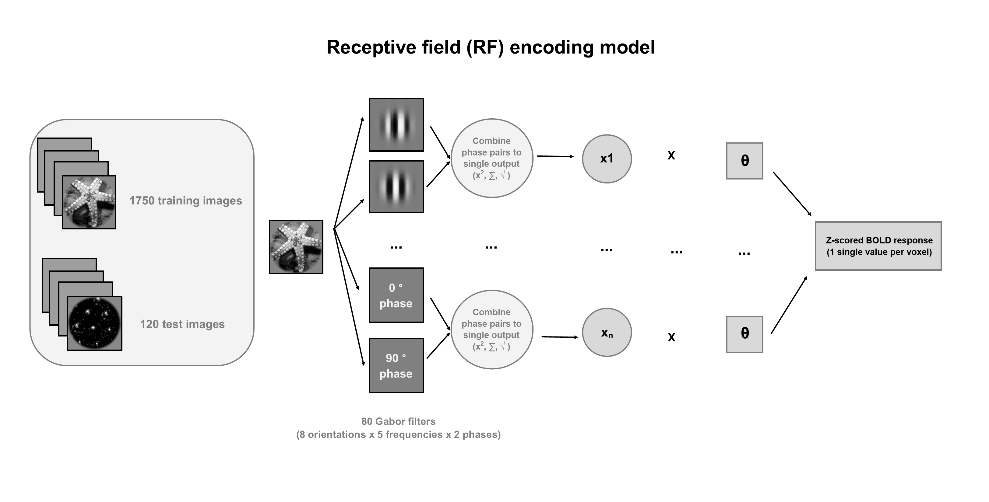 Decoding Cortical Activations